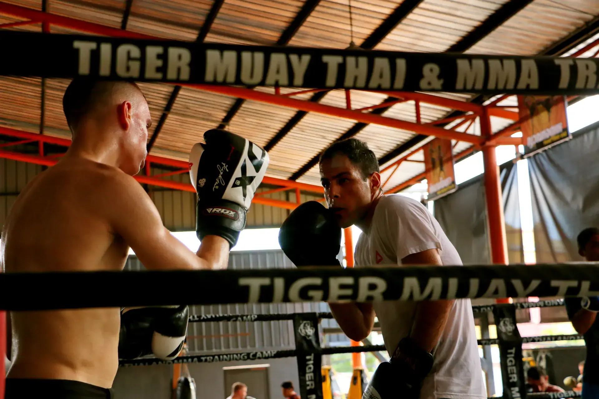 اسپارینگ مویتای در کمپ Tiger Muay Thai
